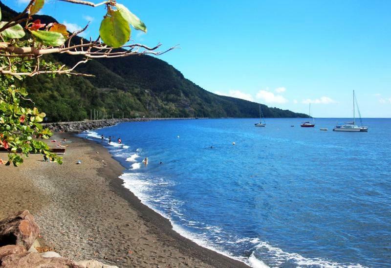 Or Bleu-Bungalow Volcan Soufriere-Vue Sur Mer 圣克洛德 外观 照片