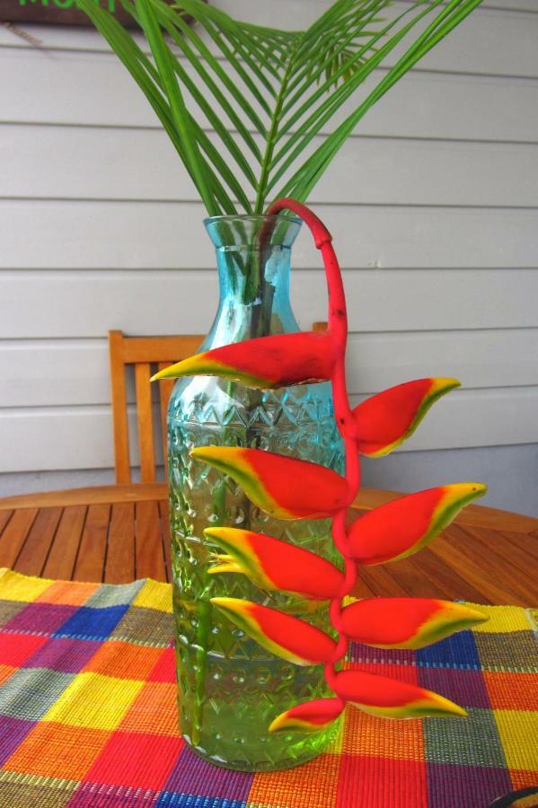 Or Bleu-Bungalow Volcan Soufriere-Vue Sur Mer 圣克洛德 外观 照片