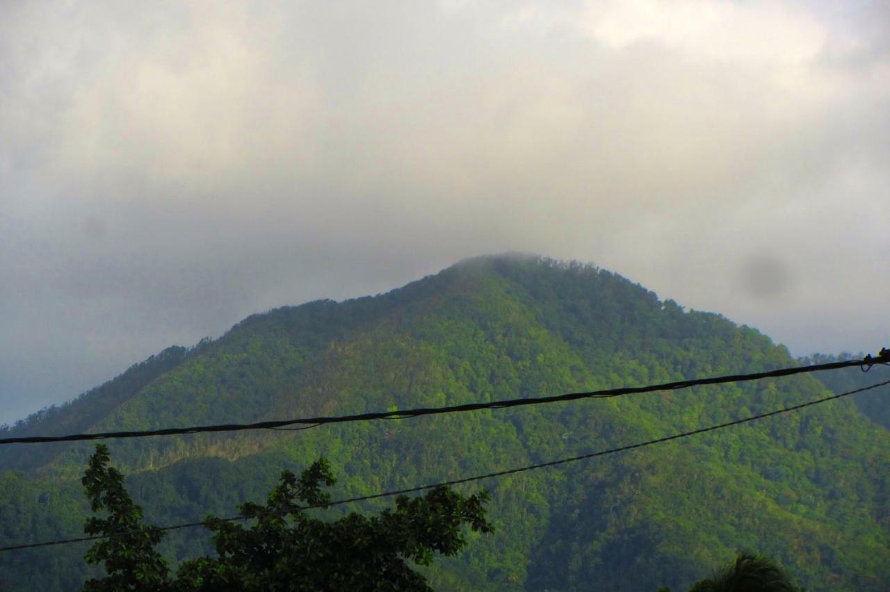 Or Bleu-Bungalow Volcan Soufriere-Vue Sur Mer 圣克洛德 外观 照片