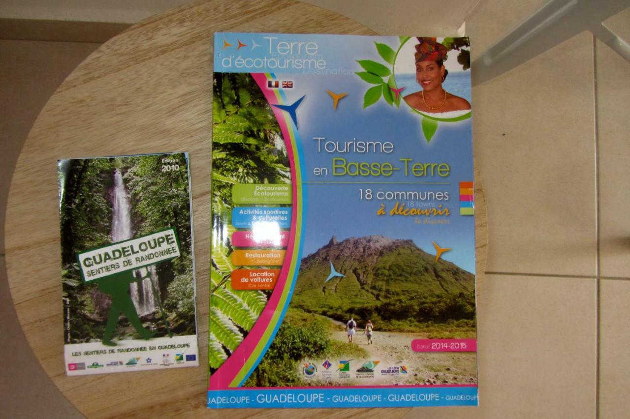Or Bleu-Bungalow Volcan Soufriere-Vue Sur Mer 圣克洛德 外观 照片