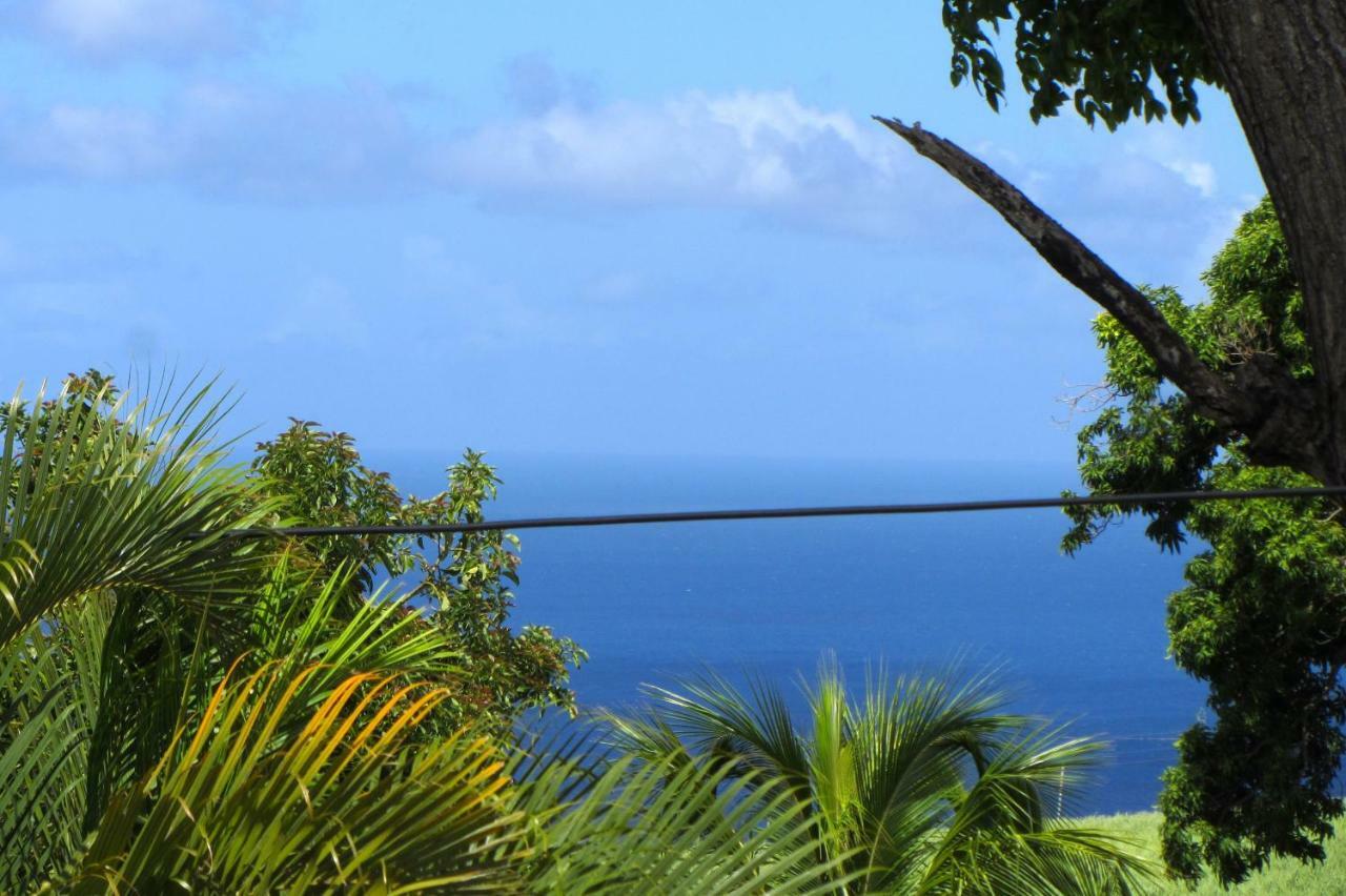Or Bleu-Bungalow Volcan Soufriere-Vue Sur Mer 圣克洛德 外观 照片