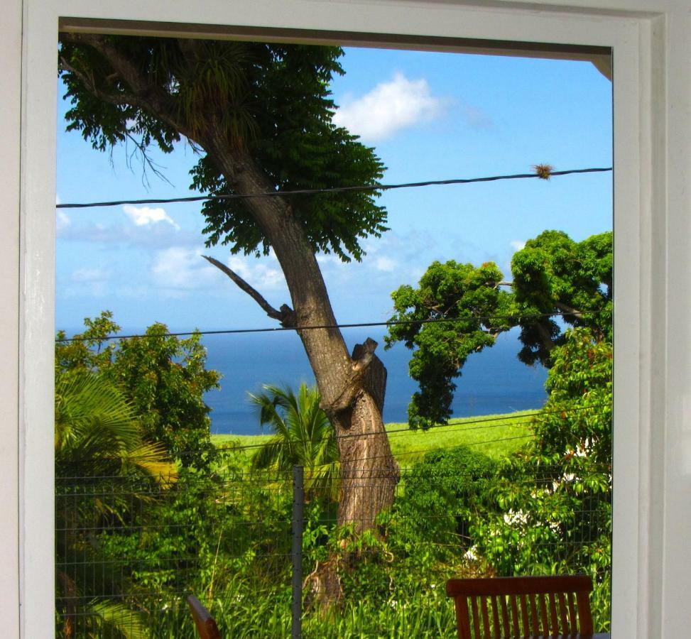 Or Bleu-Bungalow Volcan Soufriere-Vue Sur Mer 圣克洛德 外观 照片